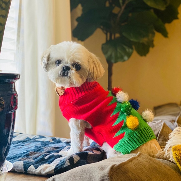 Meet your Posher, Shelby - Picture 2 of 3